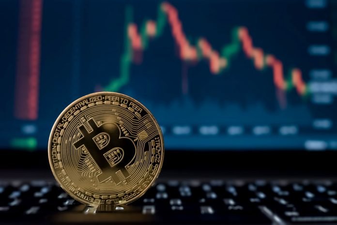 How to Start Trading With Bitcoin Circuit