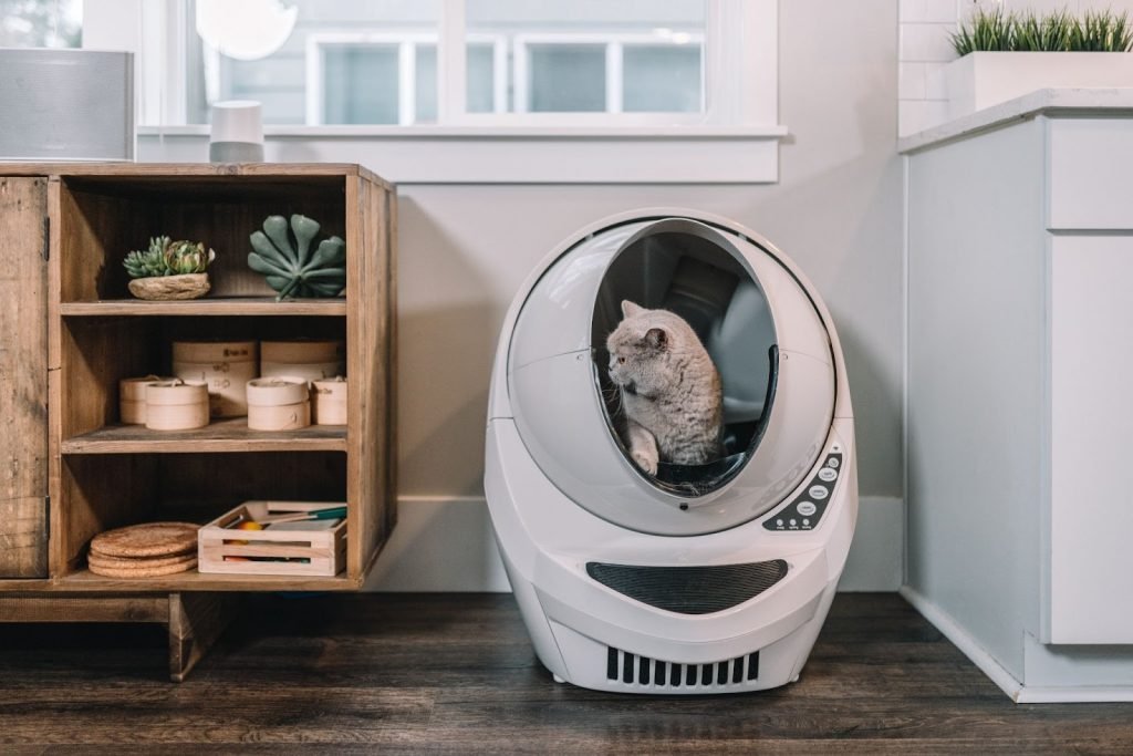 Cat Litter Boxes