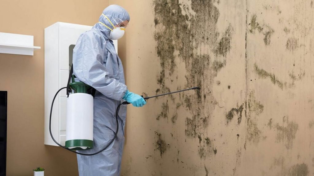 mold restoration