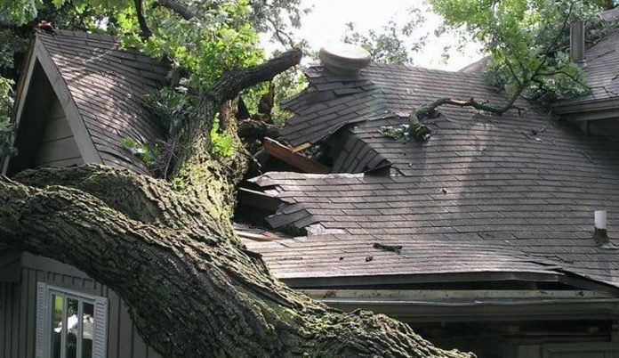 Storm Damage Services