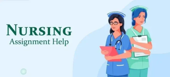 Nursing Assignment Help USA