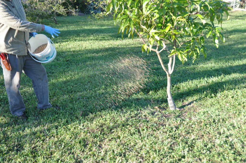 Tree Fertilization