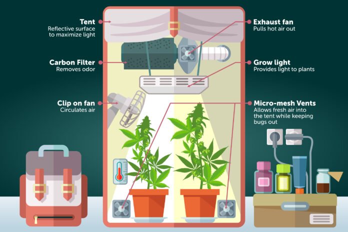 Some Reasons Why You Need To Get A Grow Tent For Your Plants