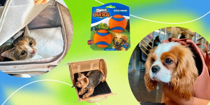 Why Are Pet Products So Expensive?