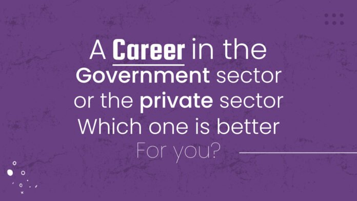 A career in the government sector or the private sector. Which one is better for you?