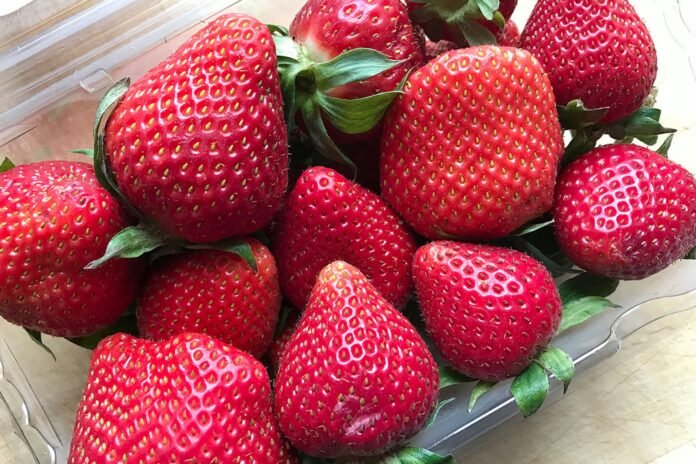 How can Strawberries Benefit Your Health and Fitness?