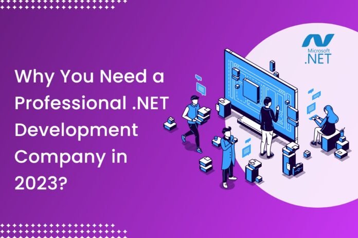 .NET development company