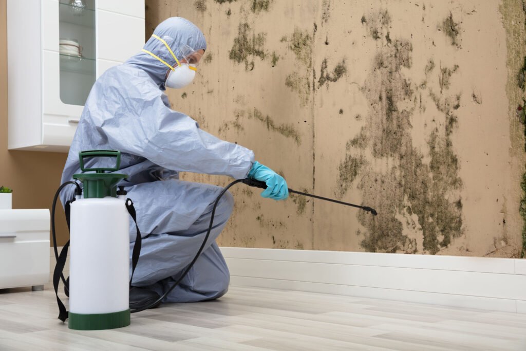 Mold Removal