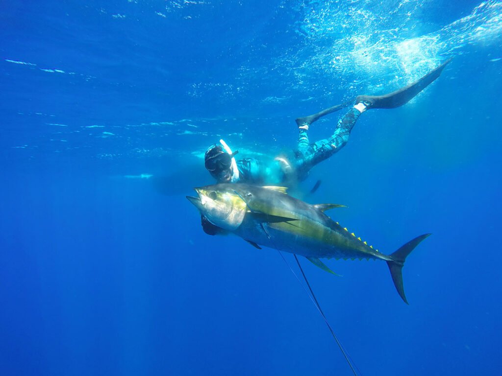 Spearfishing Charter