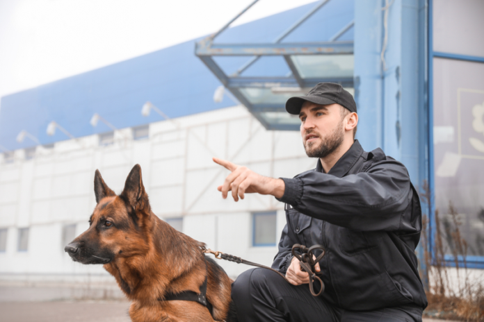 Dog Handler Team London